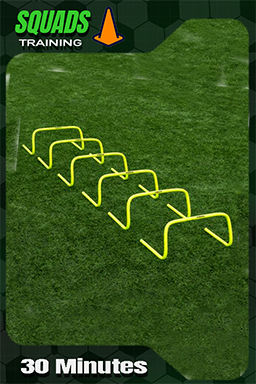 30 Minute Training